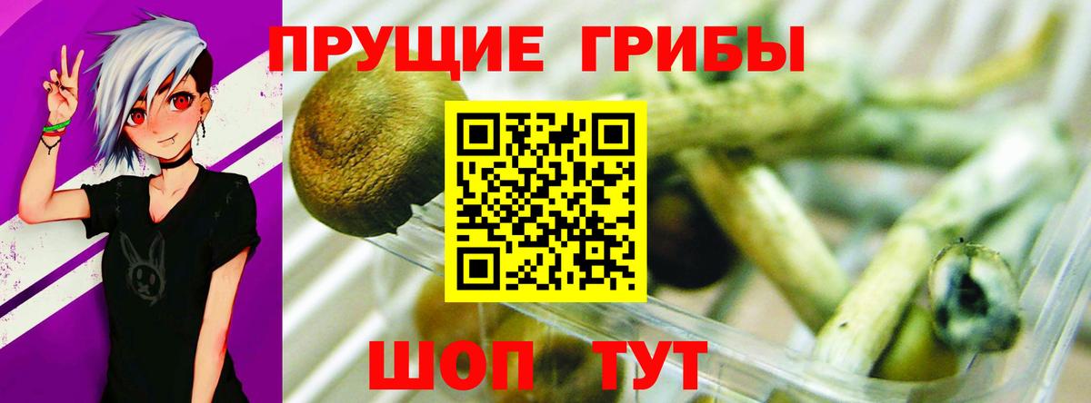 как найти закладки  Вход с VPN  Липецк  Галлюциногенные грибы мухоморы  Псилоцибиновые грибы Magic Shrooms 