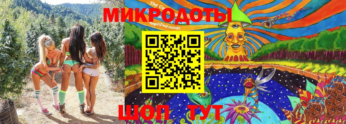 Галлюциногенные грибы прущие грибы Липецк